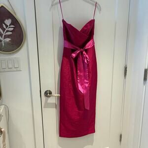 Alieva Fuchsia Strapless Cocktail Dress Sz Medium